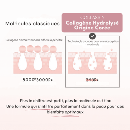 COLLASKIN™ – Masque Bio au Collagène